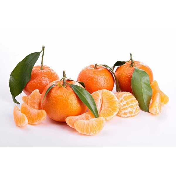 Mandarina Orri